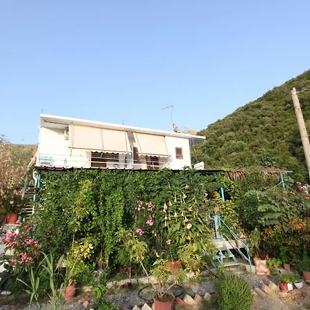 Seaview Bunec Piqeras