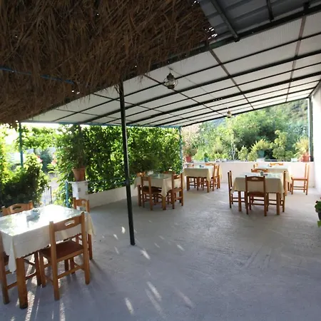 Seaview Bunec * Piqeras