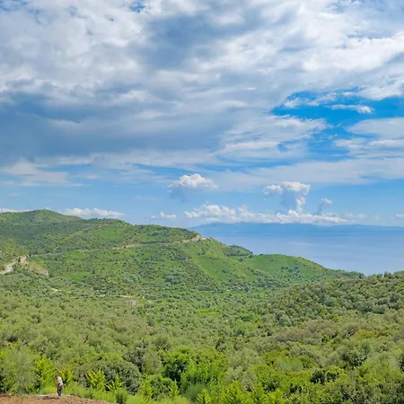 Seaview Bunec * Piqeras